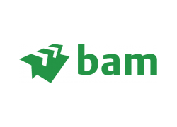 BAM logo