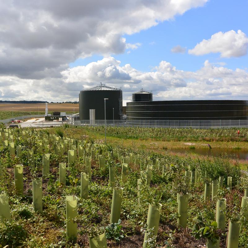 Biogen Plant Image 2