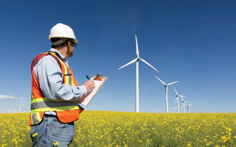 Sustainability and Environment